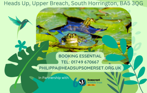 Looking after Pond wildlife - A fun and informative FREE workshop