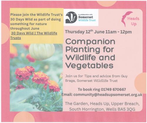 Companion Planting for Wildlife and vegetables