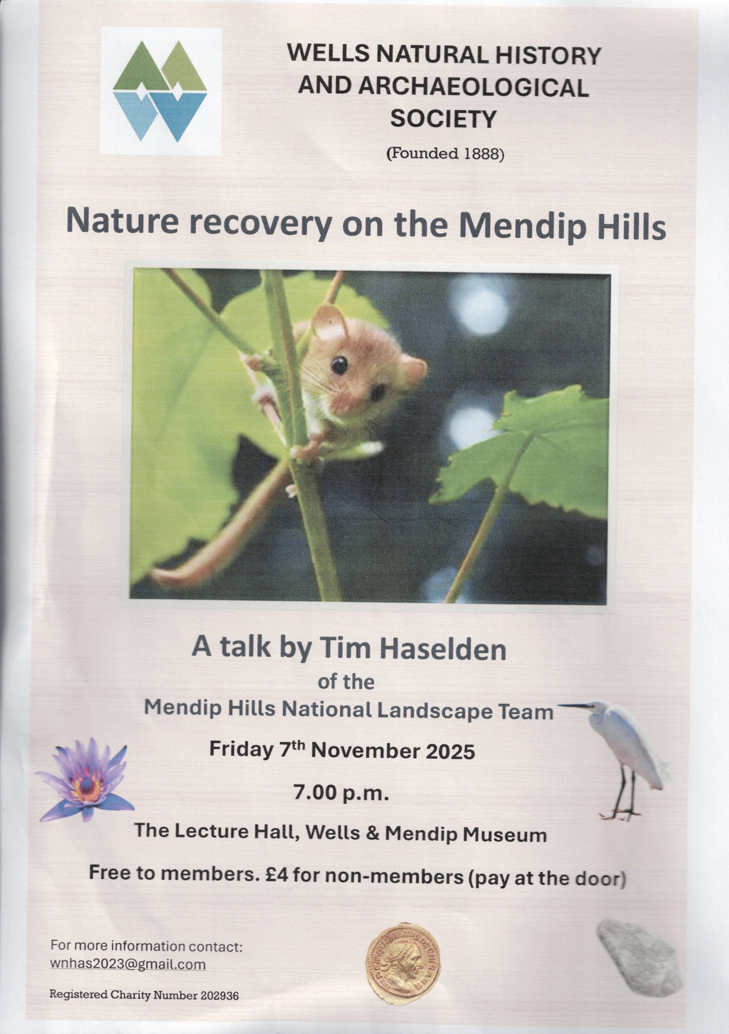 Nature recovery on the Mendip Hills