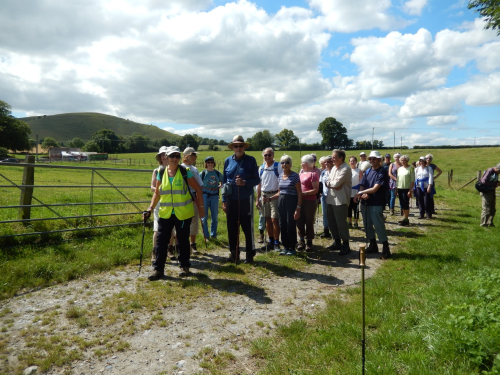 Health Walk - Moderate ability