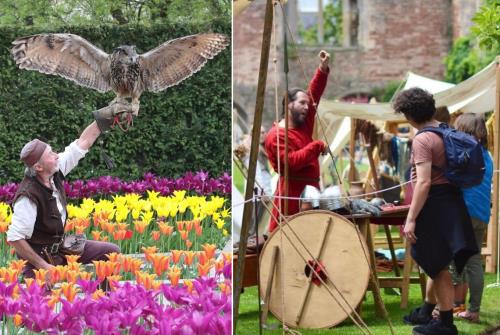 Falconry & Vikings Day