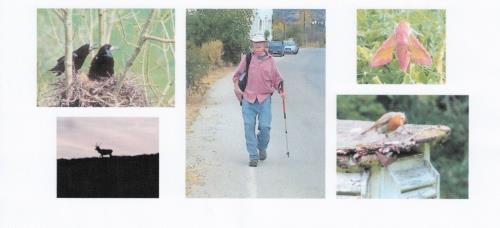 Wells Gardening Club