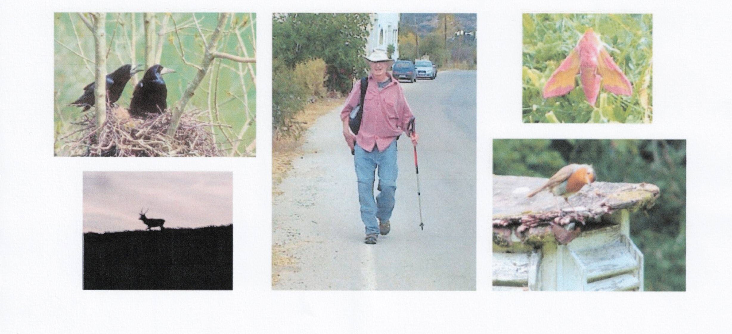 Wells Gardening Club