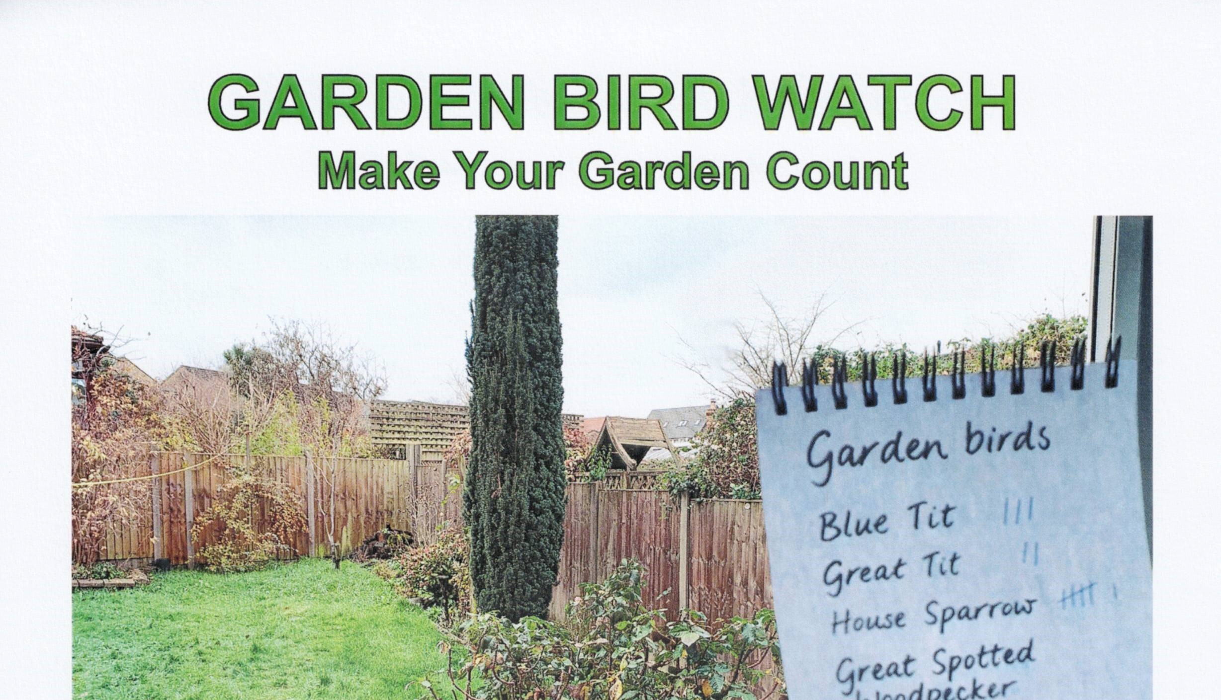 Garden Bird Watch