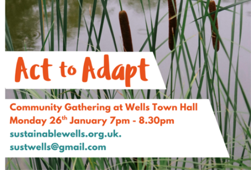 Making Space for Ponds