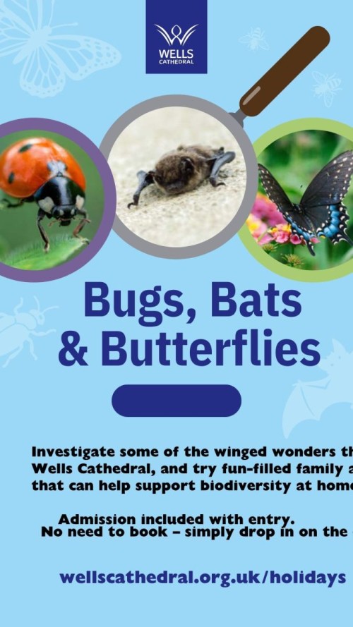 Wells Cathedral - Bugs, Bats & Butterflies