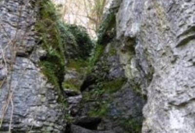 Ebbor Gorge