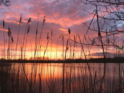 Somerset Levels