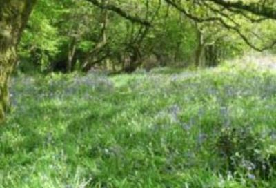 The Mendip Hills